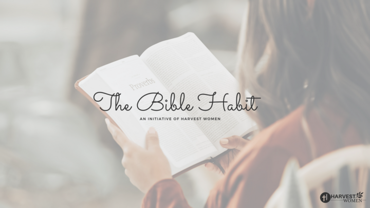The Bible Habit